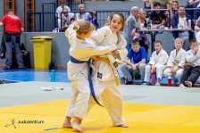 26.04.2026 Wachau JUDO Kids Cup